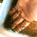 알파스토어 이미지