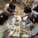 마중생태 이미지