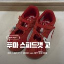 160 | 푸마 키즈 스피드캣 고 베이비 160 레드 구매 후기 사이즈 팁