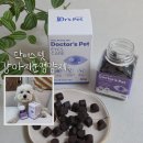 눈물자국 관리 닥터스펫 강아지눈영양제 후기