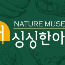 네이쳐뮤지엄더싱싱한아침