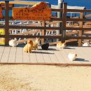 냥플레이스 이미지