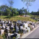 11650-7-5-7 이미지