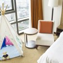 마이아지트 이미지