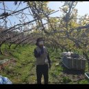 안정농업 자재센터 이미지