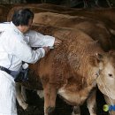 구지동물병원 이미지