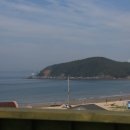 학암포 해당화 이미지