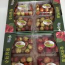 육일농장 이미지