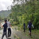 유치면사무소 이미지