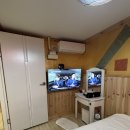 가평가보자독채애견풀빌라수영장 이미지