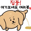 범어집 증산점 이미지