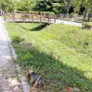 라비동물병원 | 김포 운양동 동물병원 라비에서 강아지외이염 치료받고 왔어요