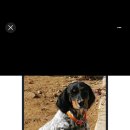 (주)필메드 이미지