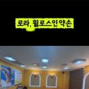 휠로스인약손