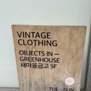 대규미나리 이미지