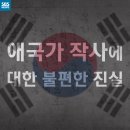 [카드뉴스] 친일파가 애국가 가사를 썼다고요? 이미지