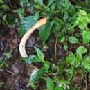 말뚝목장 이미지