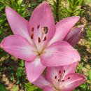 서예교실 (C) 이미지