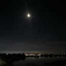 서호공원 이미지