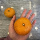 풍원농장 이미지