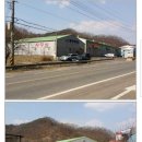 금산군(다복교) 네이버블로그