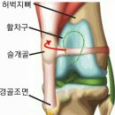 유성준동물병원 이미지