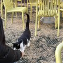 호동이PC방 이미지