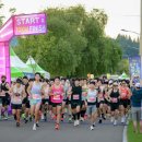 동천 야광 축제 이미지