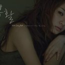 송북 뉴스엔
