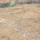 와촌면사무소 이미지