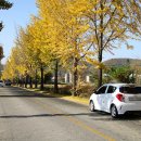 은행목장 이미지