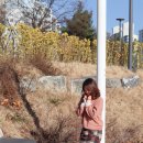 씨드느와 이미지