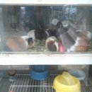 광원수족관 이미지