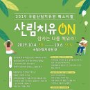 국악콘서트 다담: 한비야-당신에게 보태는 1그램의 용기 | 2019 국립산림치유원 페스티벌 산림치유 ON. 경북 영주시 가볼만한 곳.