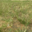 친환경대한민국 주식회사 이미지