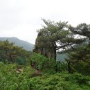 청심재