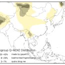 Y 하플로 그룹 Q-M242 분포 이미지