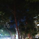 푸른동산어린이공원 이미지