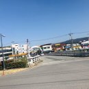더펫샵불로점
