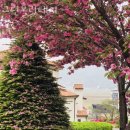 강화 홀리데이 이미지