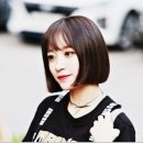 스텔라헤어 이미지