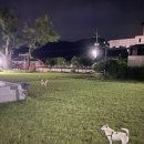 향교게이트볼장 이미지