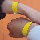 매직카월드 이미지