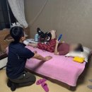 보성의료기 이미지