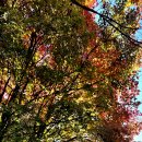 11/3. 덕정역~회암사지터~천보산~해룡산~왕방산~관모봉~포천시청 이미지