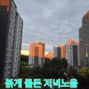 빛나는내일