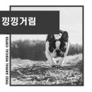 타임즈 동물의료센터 이미지
