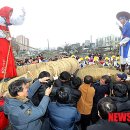 코잡