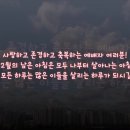 50번째 크리스마스 이미지