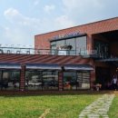 더멍멍컴퍼니 이미지